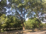 2017-09-12_14-10-55_3E95D4EB-A1AB-4B4D-8FA1-78B74E9C2E38.jpg