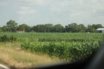 2022-06-11_15-55-49_63B5FCD2-07FD-4518-8D7E-EF4EE91C1E26.jpeg
