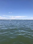 2018-05-29_15-23-38_11490574-3925-4FE4-83FB-2046E04CF114.jpg