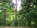 17526100_2787.JPG