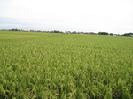15567IMG_4637.JPG