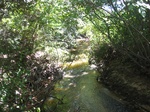 2017-09-08_17-36-41_SSp17.JPG
