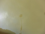 58486CIMG2936.JPG