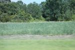 2022-05-26_14-42-57_920D02B4-C62C-4BB3-83EE-2CD20CFA0BC7.jpeg