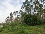 2012-09-26_20-50-03_CIMG1022.JPG