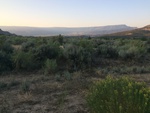 2017-09-04_08-27-23_B58FBC7D-47CD-45B9-8CAF-BF33959A36C1.jpg