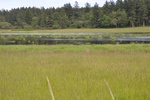 2017-06-05_14-16-44_E2.jpg