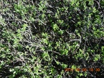 2012-09-27_14-25-45_185.JPG