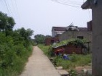 2387R0015319_small.jpg