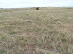 39201FREE20110810N.JPG