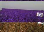 11664088-Irrigated (Surface water) cotton-b.jpg