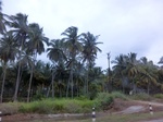 55792CIMG6409.JPG