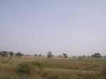 9088RIMG0168.JPG