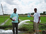 6300058c-irrigated-supplemental-major-groundwater-rice-dominant-sugarcane-doublecrop.jpg