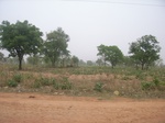 3916RIMG0220.JPG