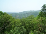 1724920042008(35).JPG