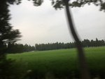 2017-09-12_03-36-07_13573E61-230E-4F68-BFBA-DC7799BF5948.jpg