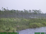1284R0015091_tag.jpg
