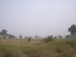 9150RIMG0231.JPG