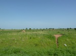 19446P1010293.JPG
