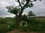 55820CIMG6454.JPG