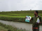 123860101a-irrigated-canal-large-area-rice-singlecrop.gif