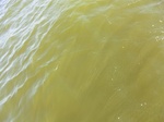 2012-09-21_14-26-52_CIMG0111.JPG