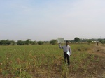 7943gt78a_mixedcrops.jpg