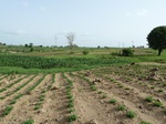 18886P1000728.JPG