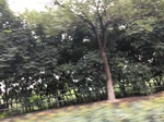2017-09-10_08-38-42_5FEFC44C-F9E7-4195-8B51-0393373F103E.jpg