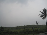 13387IMG_3749.JPG