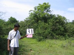 826931-scrubland-good-tree-covera.jpg
