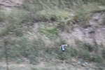 2019-10-15_11-59-59_4E8A1816.JPG