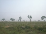 9168RIMG0249.JPG