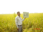 6579gt068-cropland-2.jpg