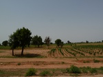 18997P1000841.JPG