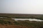 4112IMG_8747.JPG