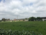 2017-09-12_12-55-18_80C48492-D0A9-46B7-A29A-D8948E29E673.jpg