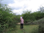 1040407-shrubland-degaradedb.gif
