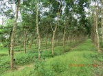 2012-09-26_20-48-11_CIMG1095.JPG