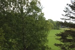 2018-04-14_13-28-50_2017-06-10 03.26.07.jpg