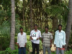 6254044a-irrigated-supplemental-minor-groundwter-openwell-coconut-dominant.jpg