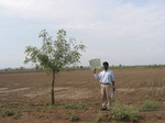 9437gt95b_cropland_farmfallow.gif