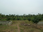 18551P1000387.JPG