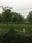 2017-09-12_10-24-53_9886E06D-2009-4B35-B6D0-5A38CF2402F4.jpg