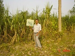 6560gt059-cropland-1.jpg