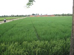 14415IMG_4761.JPG