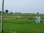127080195b-irrigated-supplemental-groundwater-rice-dominant-sugarcane.gif