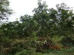 2012-09-26_20-48-24_CIMG1070.JPG