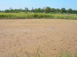 1802820091029_gt02a_Agriculture_Rice_Irrigated_Triple_Continous.JPG